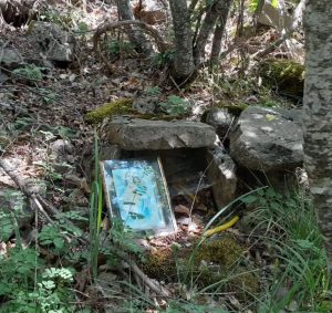 meeting, anthropology, tirana