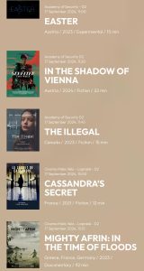 human right film festival tirana