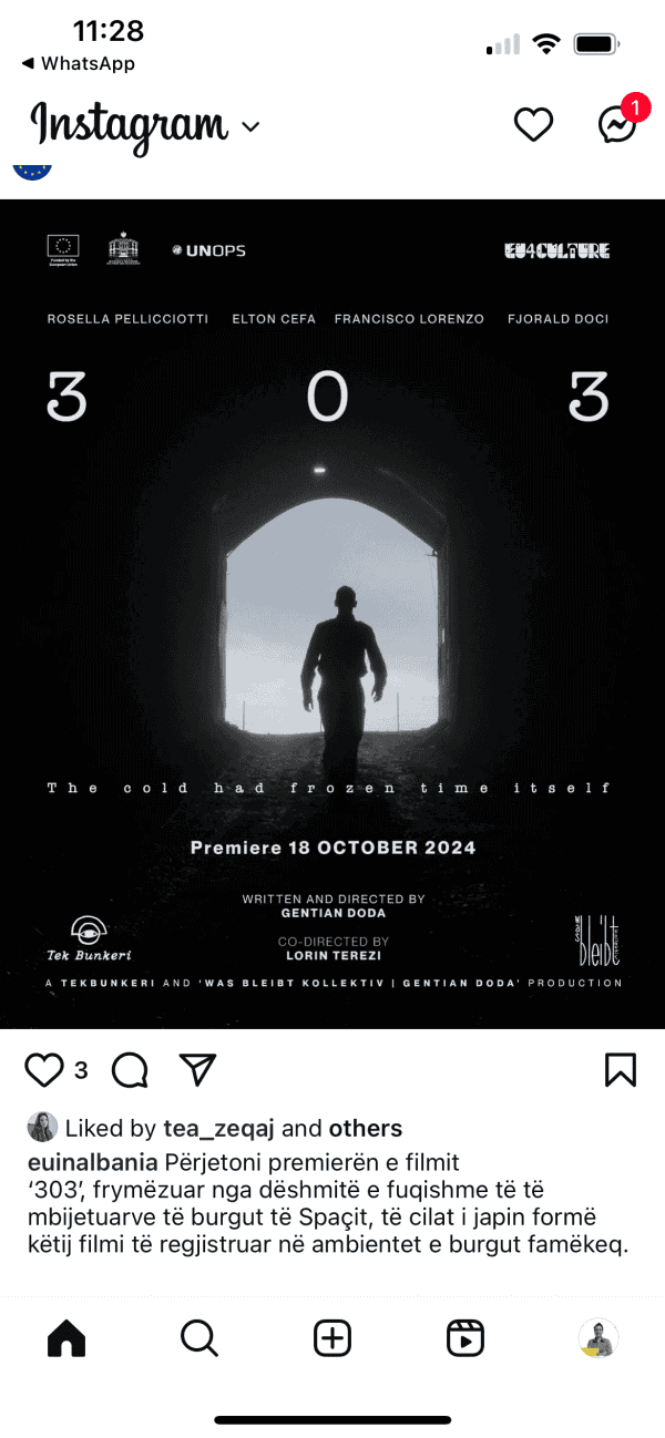 movie 303 tirana