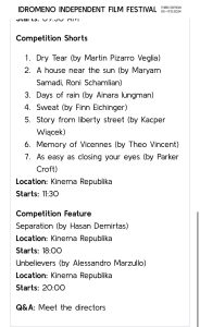 idromeno indipendent film festival