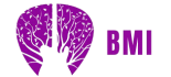 Balkan Music Industry