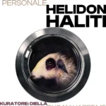 helidon haliti
