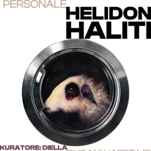 helidon haliti