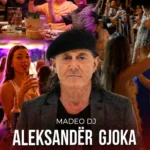 Aleksandër Gjoka Fama Agroturizëm Spitallë