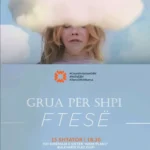 Grua per shpi Diber